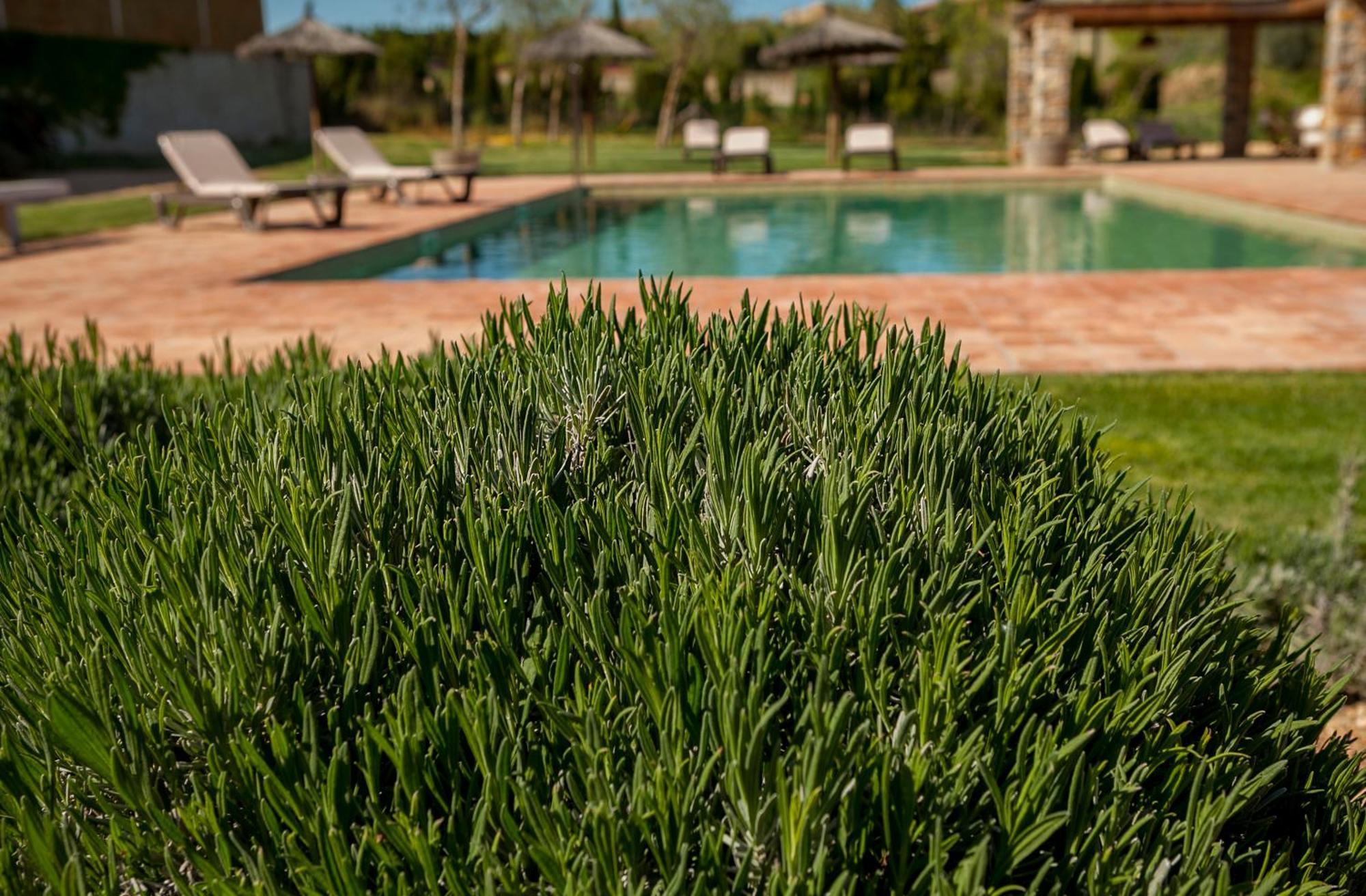 Mas Vermell Fontanilles Exterior photo